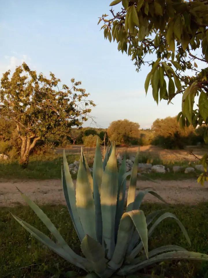 Masseria Fra Diavolo Casa de hóspedes Castellana Grotte Exterior foto