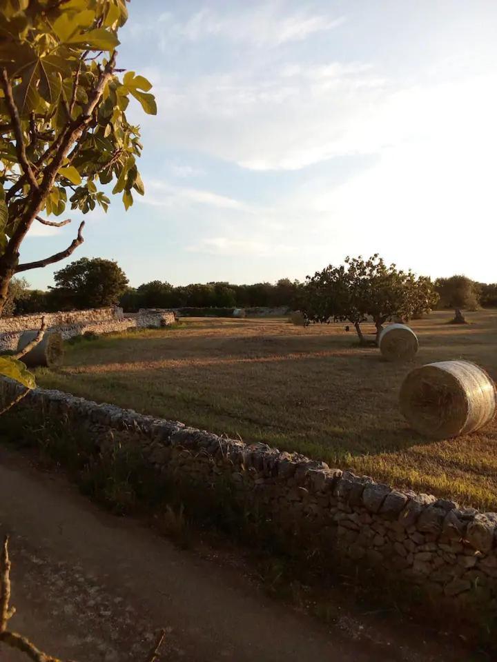 Masseria Fra Diavolo Casa de hóspedes Castellana Grotte Exterior foto