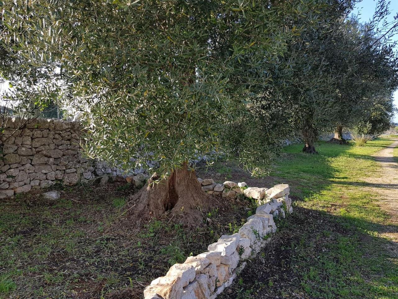 Masseria Fra Diavolo Casa de hóspedes Castellana Grotte Exterior foto