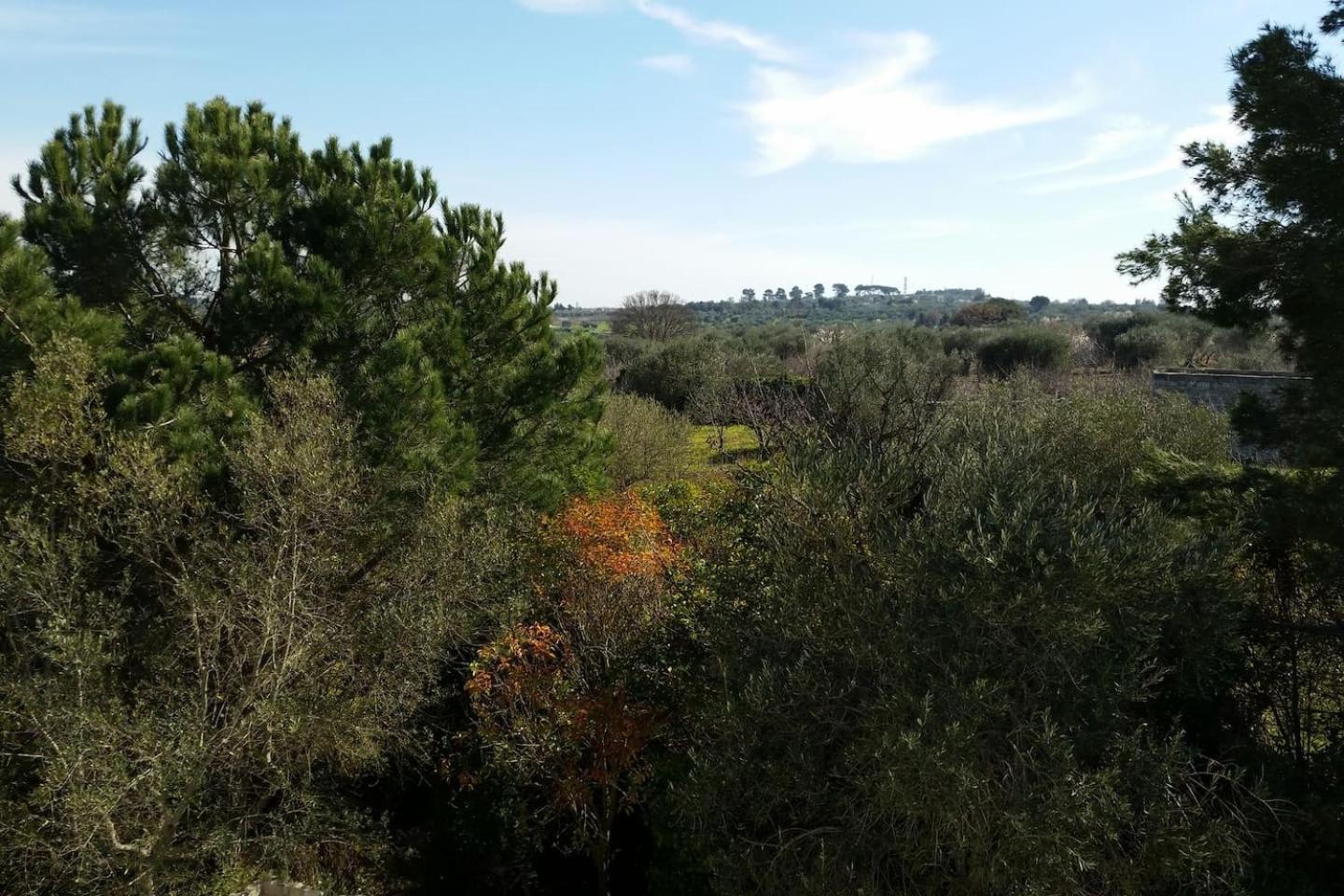 Masseria Fra Diavolo Casa de hóspedes Castellana Grotte Exterior foto