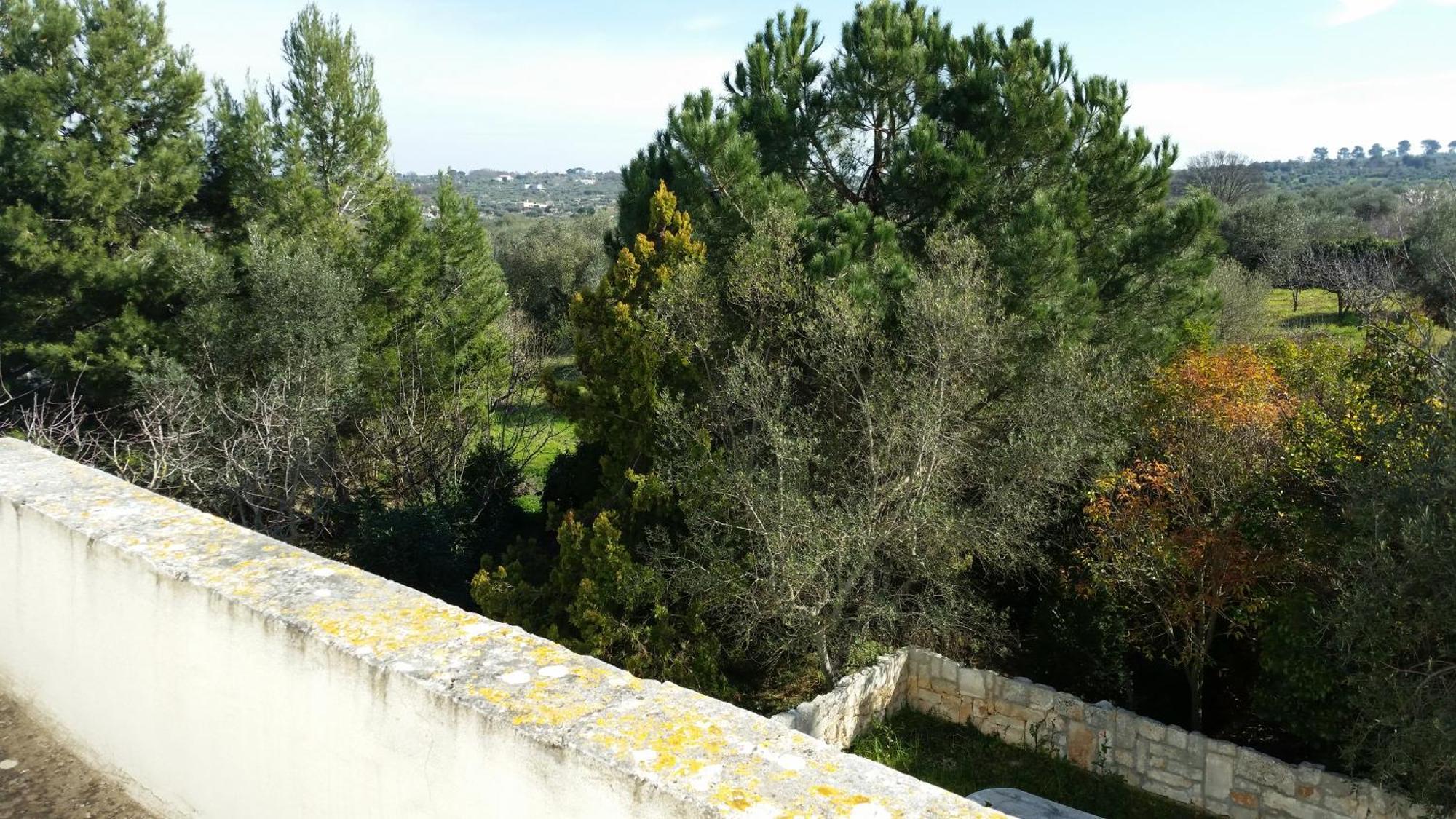 Masseria Fra Diavolo Casa de hóspedes Castellana Grotte Exterior foto